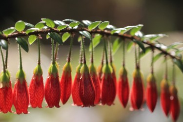 深圳南山区1私人快速借钱网，轻松解决资金难题