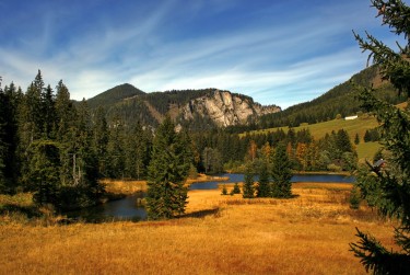 深圳南山区1民间私贷攻略：揭秘低成本借贷的秘密