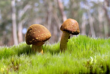 深圳南山区1私人老板放款：轻松融资的秘密通道